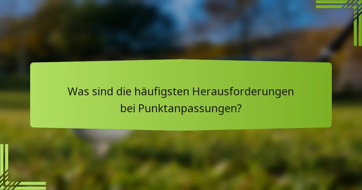 Was sind die häufigsten Herausforderungen bei Punktanpassungen?