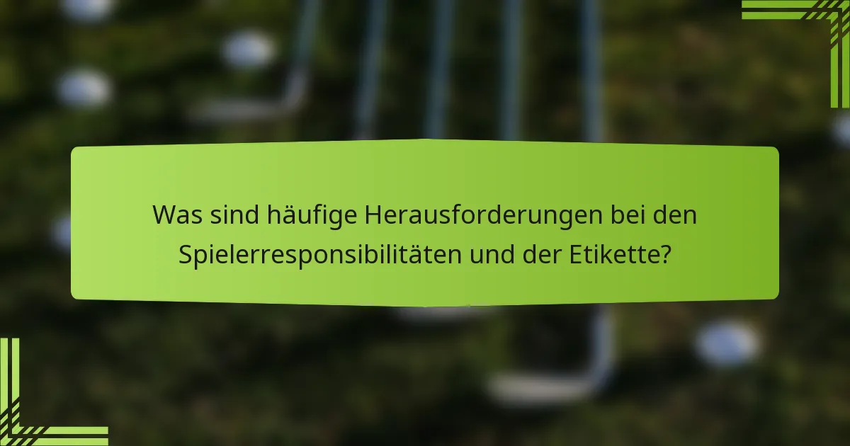 Was sind häufige Herausforderungen bei den Spielerresponsibilitäten und der Etikette?